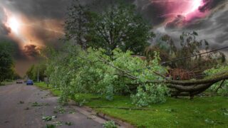 tornado damage home trees down