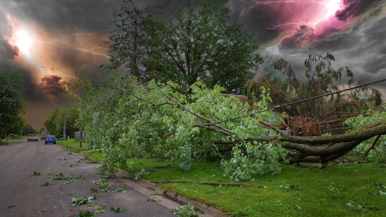 tornado damage home trees down