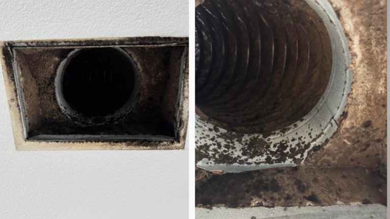 Homeowner Finds 'Mold' in Air Vent