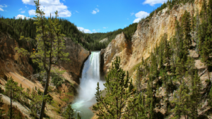 Homeowners Experiencing Yellowstone Effect