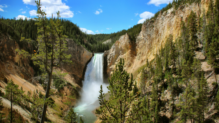 Homeowners Experiencing Yellowstone Effect