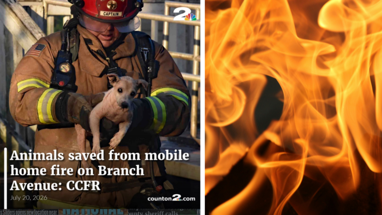 Animals Rescued from Mobile Home Fire