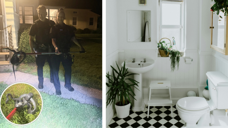Police Remove Massive Snake From a Connecticut Family’s Bathroom