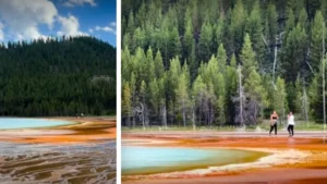 Yellowstone Tourists Go Off Trail