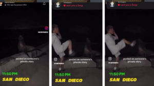 Man Kicks Sea Lion