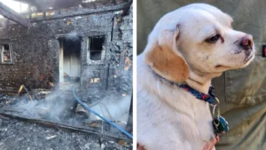 Homeowner and Dog Escape Housefire