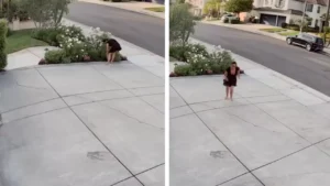 Woman Gets Bit by Rattlesnake