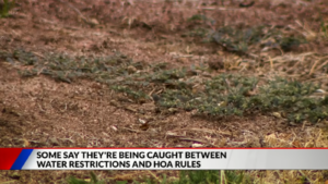 HOA Fines Homeowner for Dead Grass in a Drought