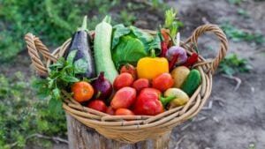 A basket of vegetables in the garden. Selective focus. Food.