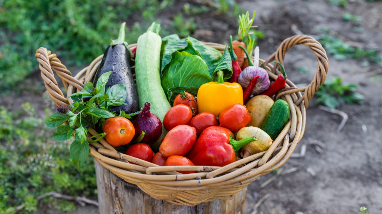 A basket of vegetables in the garden. Selective focus. Food.