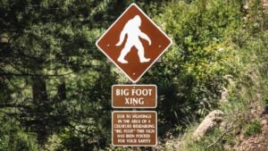 A closeup of a sign of Bigfoot in a green forest