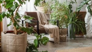 A fragment of the interior with a variety of indoor plants and plaster sculptures. Urban jungle concept. Biophilia design.