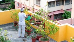 An elderly man waters a beautifully maintained rooftop garden filled with lush greenery, potted plants, and stylish decor, showcasing sustainable urban gardening and a peaceful lifestyle.