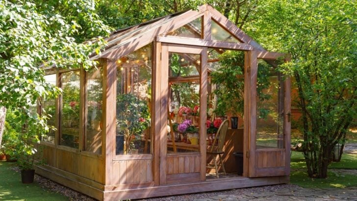8 Weekend Upgrades That Finally Turn Your Greenhouse Into the Best Room on Your Property