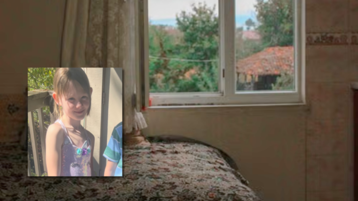 A Mother Suing for $3 Million Says a $5 Window Device Could’ve Stopped Her Daughter’s Three-Story Fall