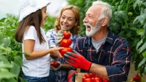Happy senior man working together with family in greenhouse business. People organic food concept.