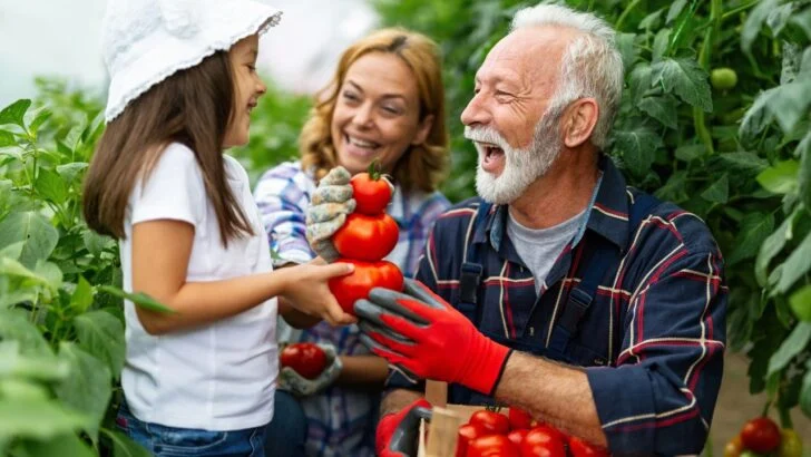 You’re Never Too Old To Garden! Explore These Adaptive Gardening Ideas for Older Adults