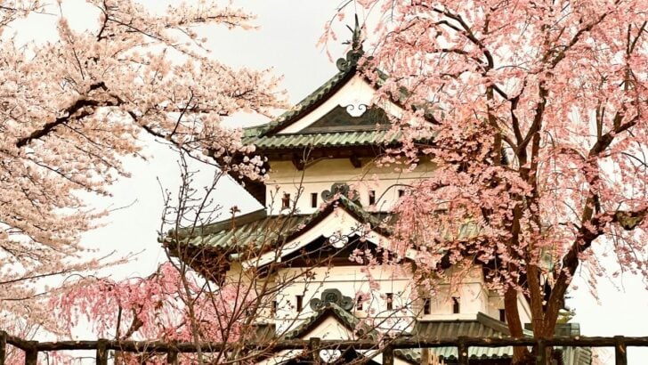 1,800 People Help Pull a 400-Ton Japanese Castle Back to Its Original Site