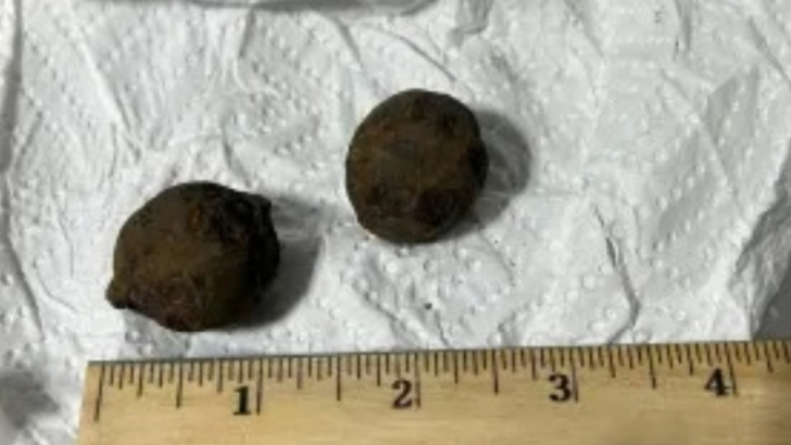 TSA Officers Find Five Stolen Cannonballs Inside Checked Bag at Alabama Airport