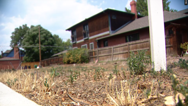 Colorado’s Water Crackdown Has Turned Neighbors Against Each Other