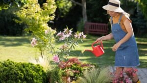 Pretty woman in a hat happily watering flowers in her garden. Outdoor summer activity