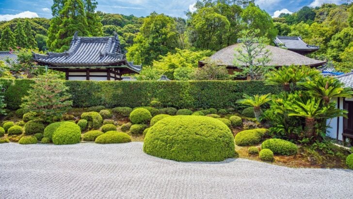 12 Reasons Gardening Is the Ultimate Burnout Cure, According to Experts