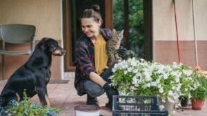 Smiling young woman planting flowers with her dog and tabby cat on a sunny summer terrace