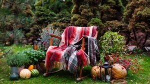 Table in the autumn style. Autumn decor