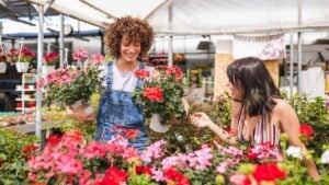 Two young women working in a garden center holding blooming geranium flower pots, surrounded by colorful plants