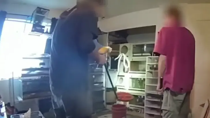 Cobras, Mambas, and Other Venomous Snakes Seized From a Home During a New Mexico Drug Raid
