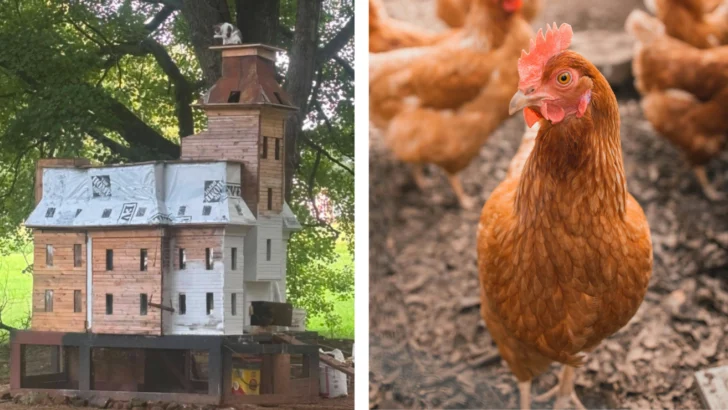 ‘Addams Family’-Inspired Chicken Coop Is the Perfect Way To Get Into the Halloween Spirit
