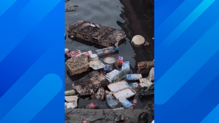 Conservancy Company Finds a Simple Way To Keep Garbage From Entering the Ocean