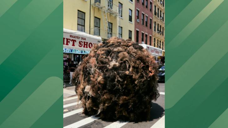 A Massive Hairball Rolled Through the Streets of NYC This Week for a Very Strange Reason