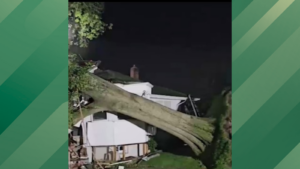 Tree falls on house
