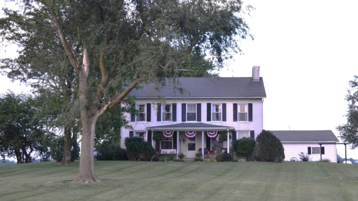 Woman Scoffs After Neighbors Send ‘Demand Letter’ About Mature Trees on Her Property
