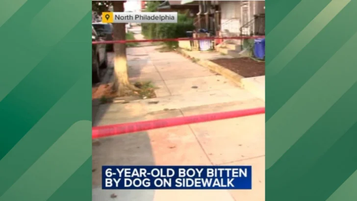 A 6-Year-Old Was Taken to the Hospital After Being Attacked by a Neighbor’s Dog