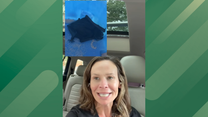 Doctor Turns Terrifying Bat Exposure Into a Rabies PSA