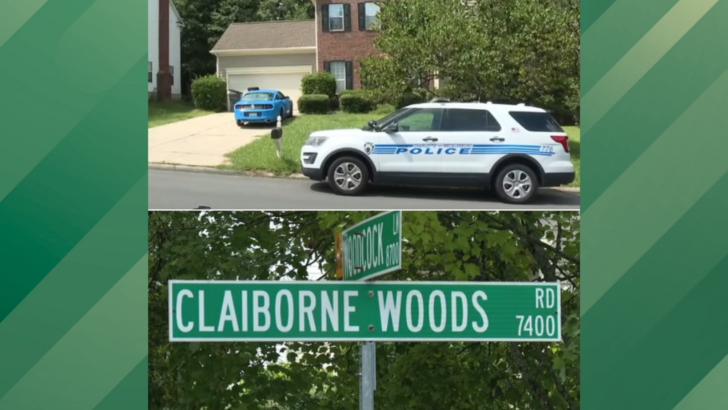 North Carolina Woman Mauled by 7 Dogs