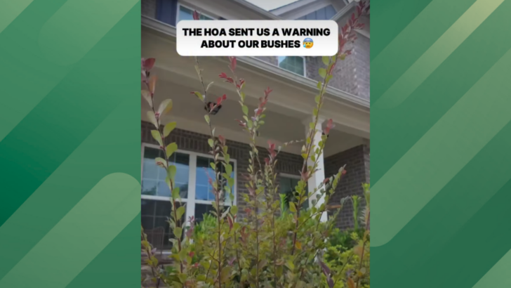 Homeowner Has Surprising Response to Demand From His HOA