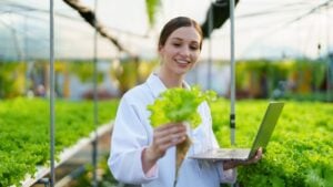Woman Farmer harvesting vegetable and audit quality from hydroponics farm. Organic fresh vegetable, Farmer working with hydroponic vegetables garden harvesting, small business concepts