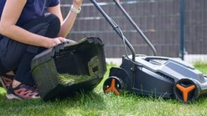 Woman beside lawn mower with open grass catcher containing clippings on backyard grass. Lawn care, gardening and maintenance concept