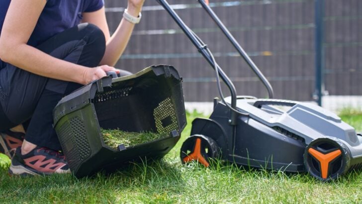 The Summer Lawn Mistake Most Homeowners Make That Costs Them Hundreds Every Year