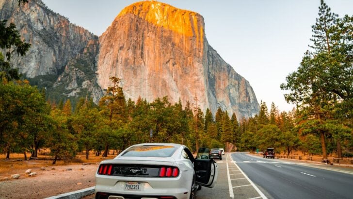 Yosemite Denies Using Controversial Flock Cameras as Surveillance Debate Grows