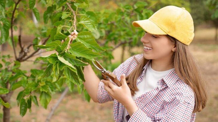 It’s August. Stop Pruning These 8 Plants Before You Ruin Next Year’s Garden
