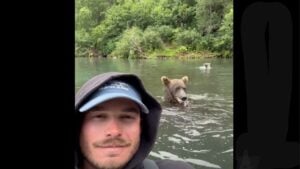 bear-eating