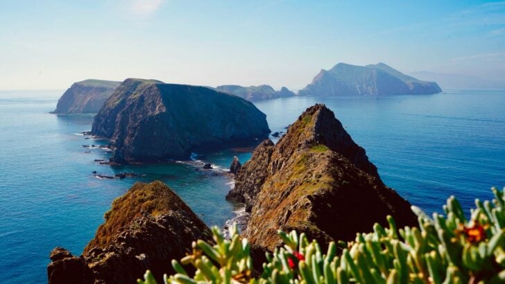 Channel Islands National Park Opens Prisoner Harbor Campground, Its Newest to Santua Cruz in Decades