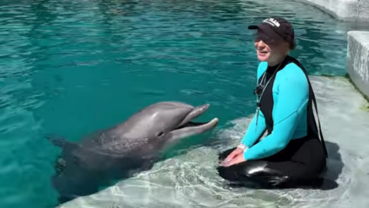 Death of Longtime Six Flags Dolphin Sparks Push to Move Remaining Animals by PETA