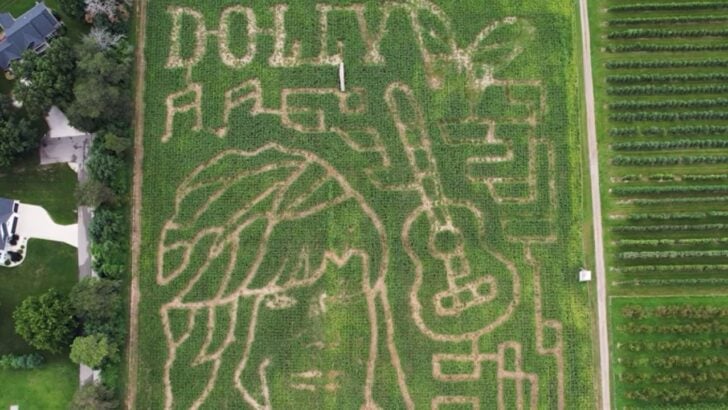 20 Corn Mazes Across North America Will Honor Late Dolly Parton