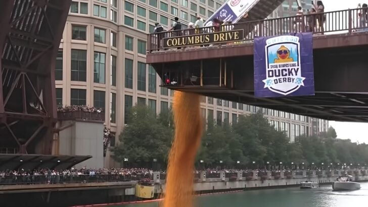 90,000 Rubber Ducks Filled Chicago River, Exceeding Goals for a Special Olympics Fundraiser