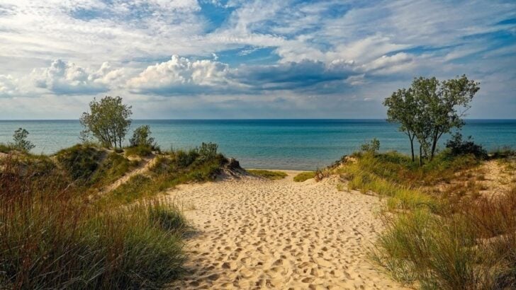 E. Coli Warnings Lifted at 5 Popular Indiana Dunes Beaches After New Tests (a Reminder to Always Check Conditions)